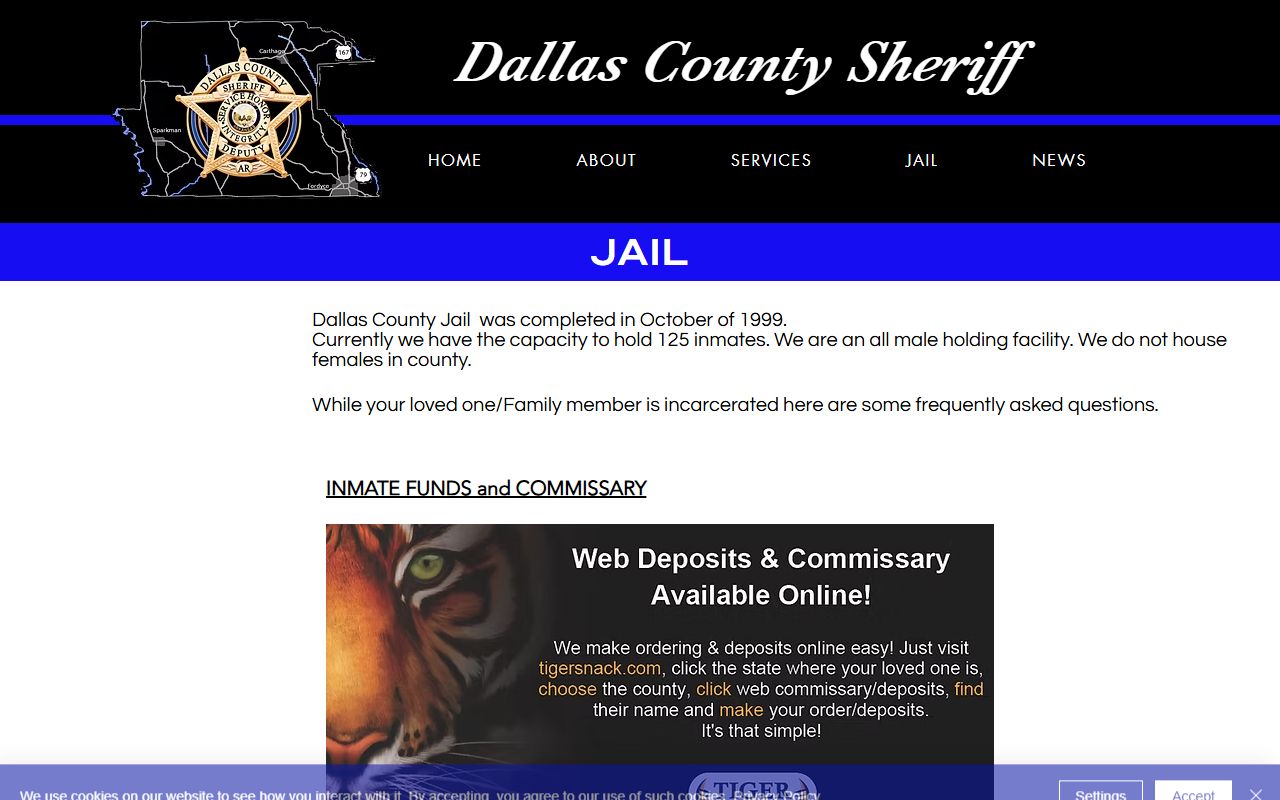 Dallas County jail information for recent arrests